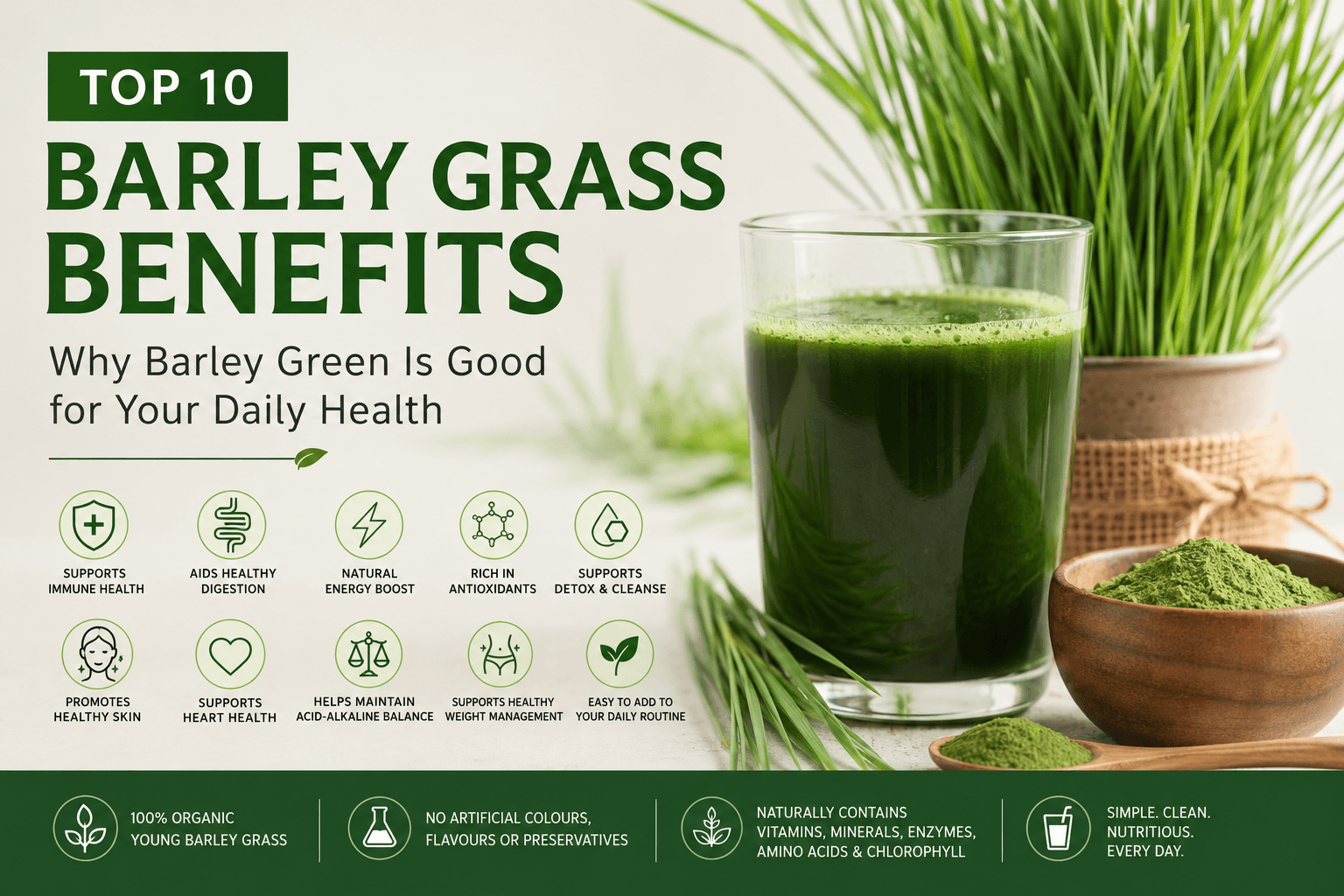 Top 10 Barley Grass Benefits: Why Barley Green Is Good for Your Daily Health